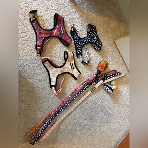 Colorful Dog Harness and Leash Set